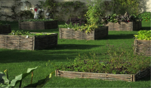 How to start a vegetable garden from scratch raised garden beds