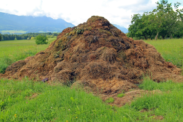 pile of composed manure