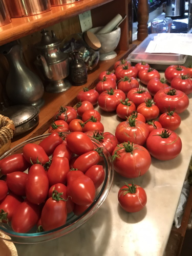 roma and beefsteak tomatoes on a kitchen counter