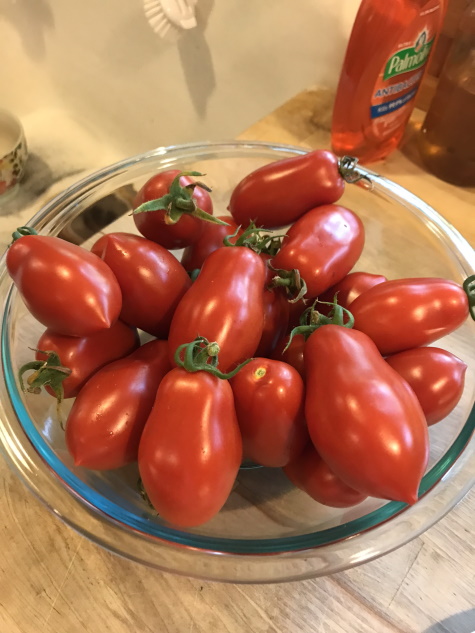 roma tomatoes in a bowl