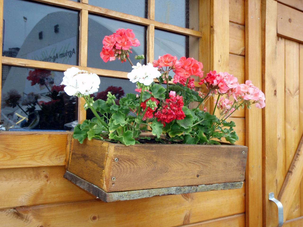 Types of Planters for Window Box Gardening